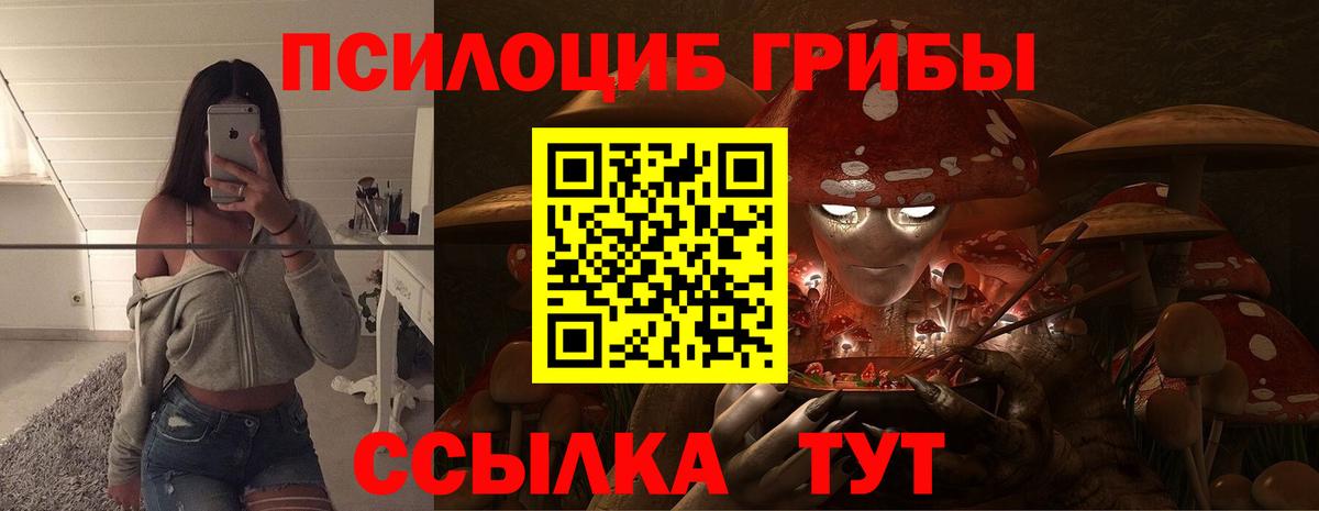 Семёнов  Псилоцибиновые грибы MAGIC MUSHROOMS  Вход с VPN 